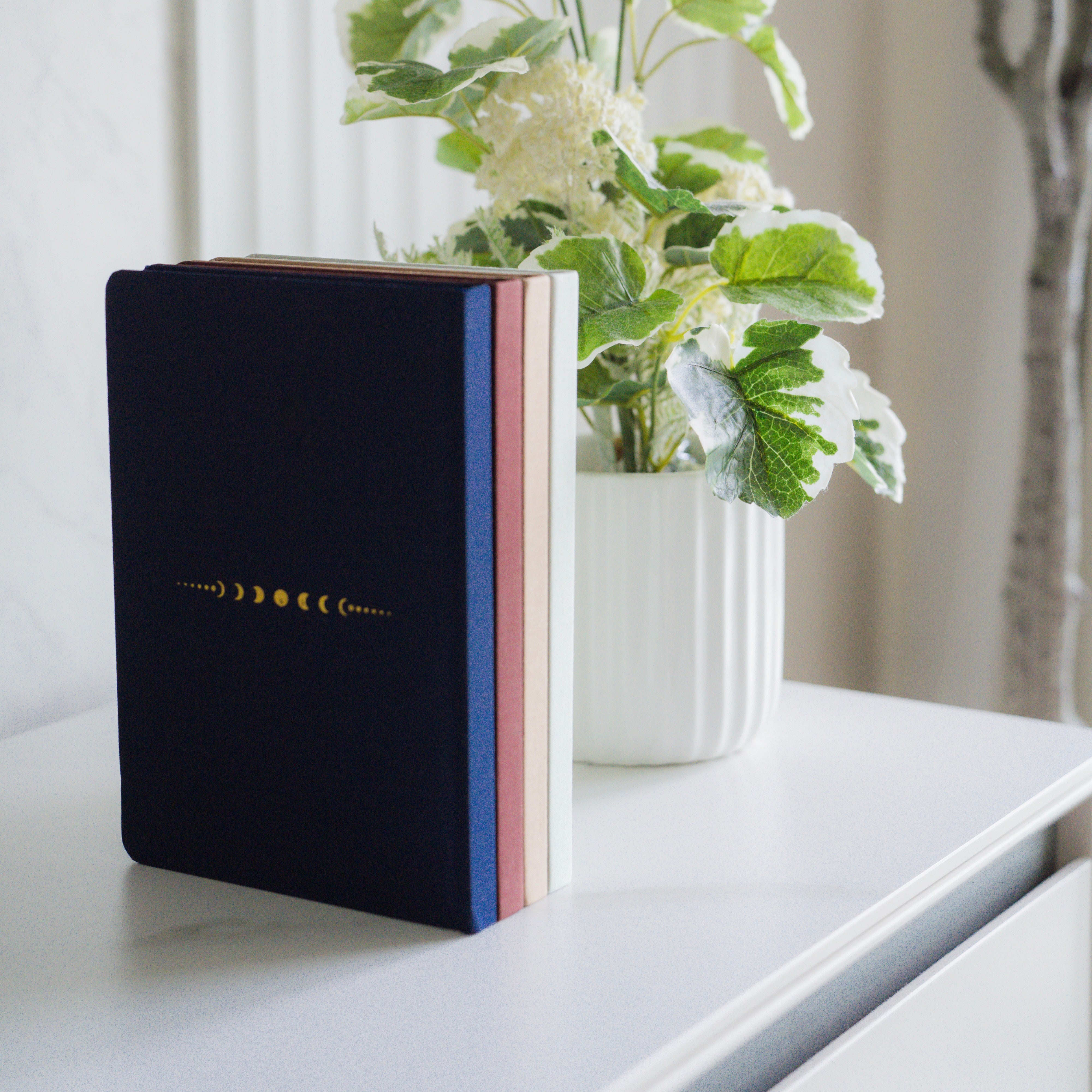 Carnet Qalam - En lin